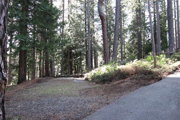 Jenkinson site 46