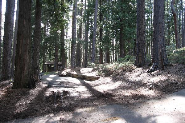 Jenkinson site  47