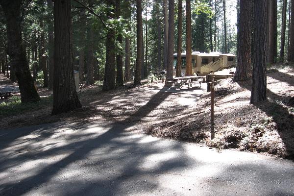 Jenkinson site 48