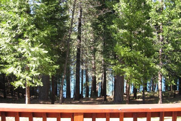 Veiw of the lake from the back deck