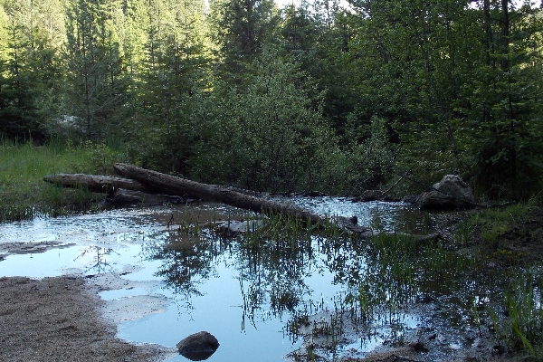 Pool at the bottom of Rockslide Falls