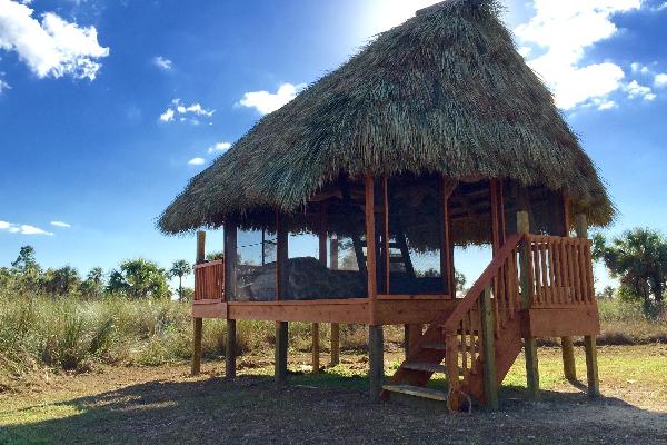 Everglades Adventure Tours