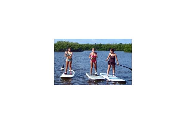 Stand up Paddleboard (SUP) rentals