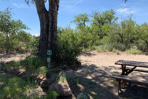 RV Site 1 Picnic Table