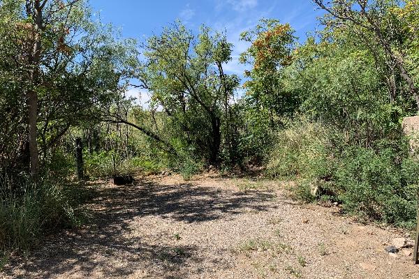 Site 44