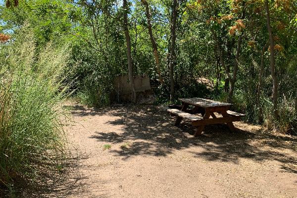 Site 46