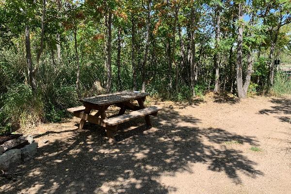 Site 46
