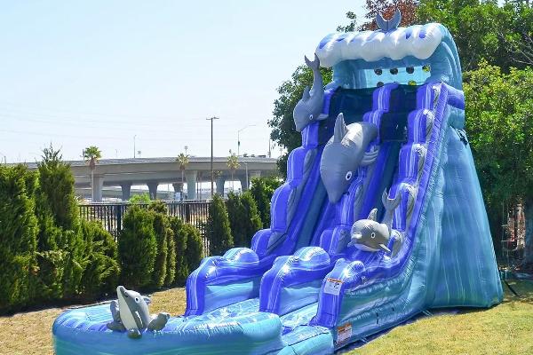 Georgy's Raging Bull and Inflatables