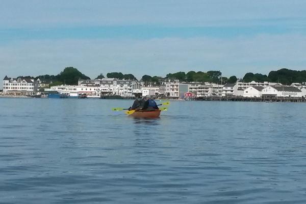 Great Turtle Kayak Tours