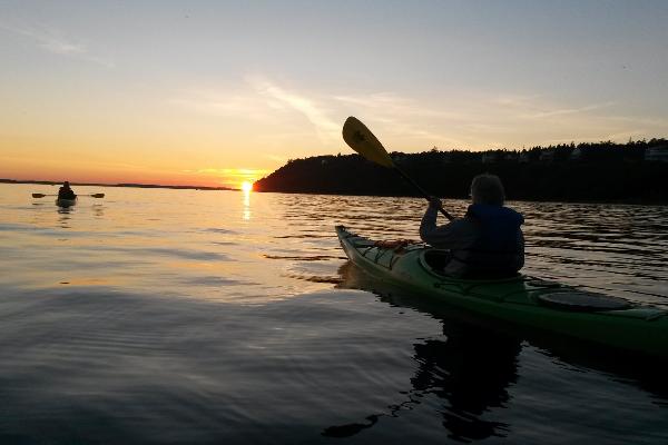 Great Turtle Kayak Tours