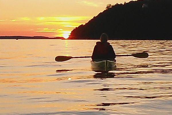 Great Turtle Kayak Tours