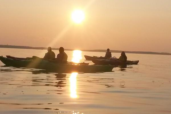 Great Turtle Kayak Tours