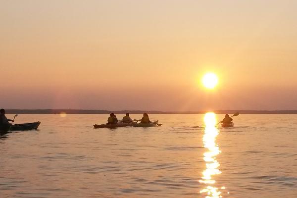 Great Turtle Kayak Tours