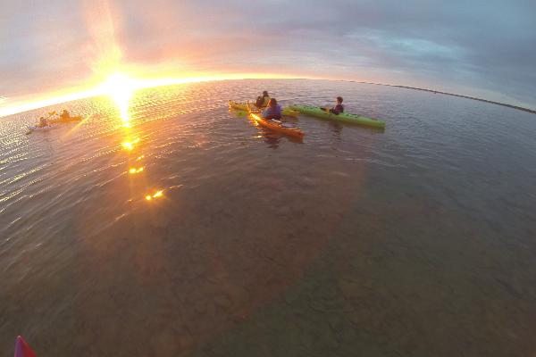 Great Turtle Kayak Tours