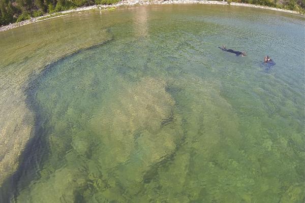 Great Turtle Kayak Tours