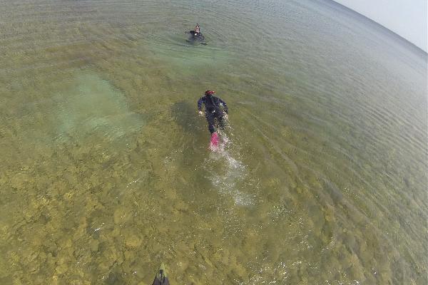 Great Turtle Kayak Tours