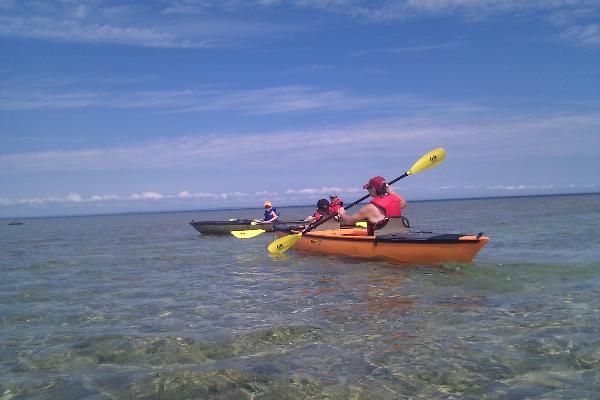 Great Turtle Kayak Tours