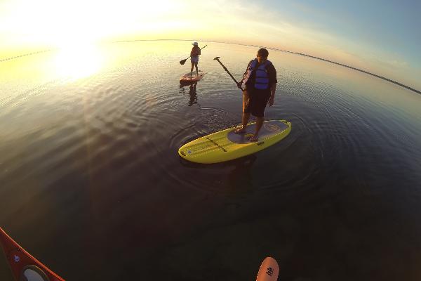 Great Turtle Kayak Tours