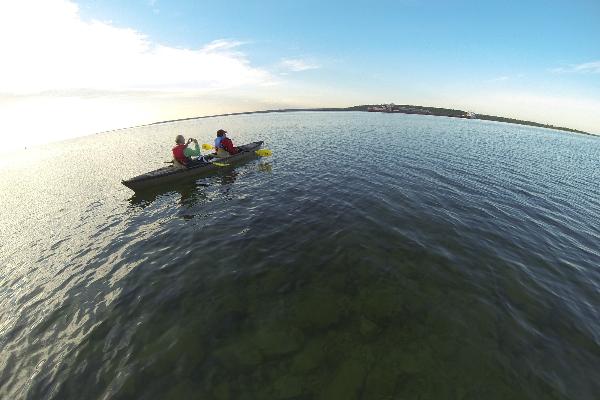 Great Turtle Kayak Tours