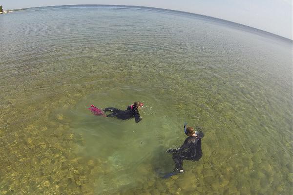 Great Turtle Kayak Tours