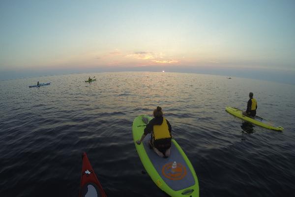 Great Turtle Kayak Tours