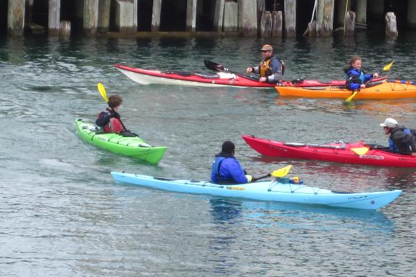 Great Turtle Kayak Tours