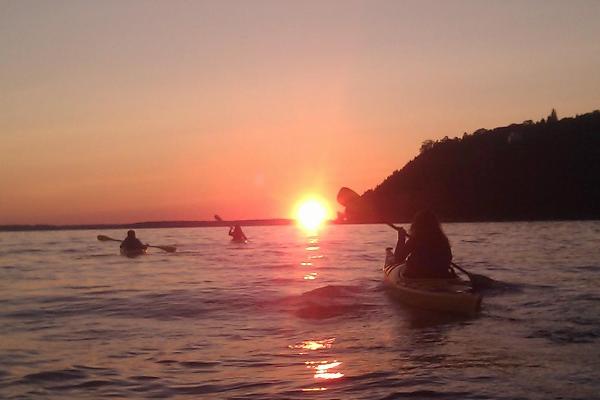 Great Turtle Kayak Tours