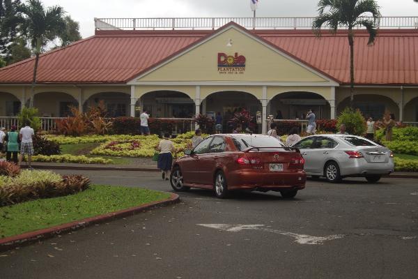 Stop at Dole plantation