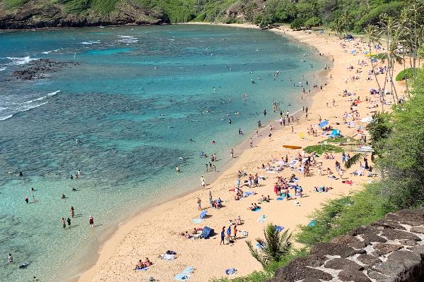 Swimming at Hanauma Bay