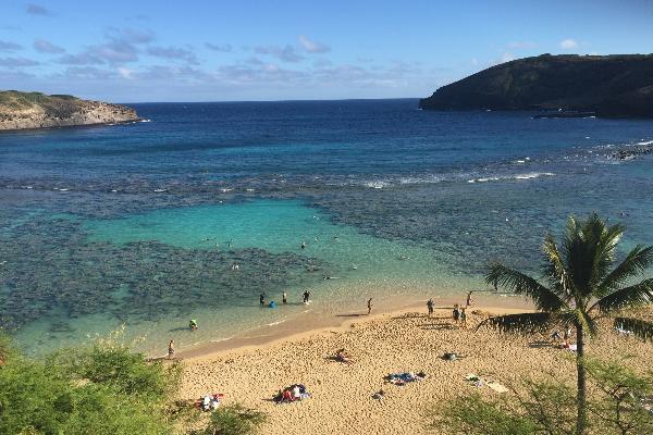 Hanauma Bay snorkel beach