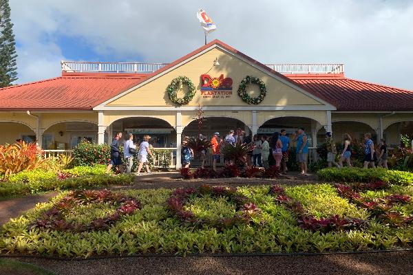 Dole plantation