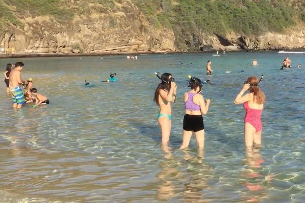 Snorkel at Hanauma Bay