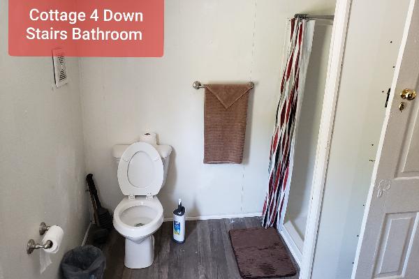 Down Stairs Bathroom with Shower