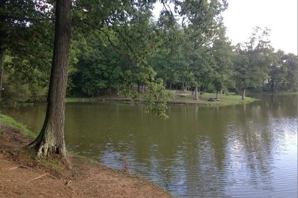 Lakeside tent sites