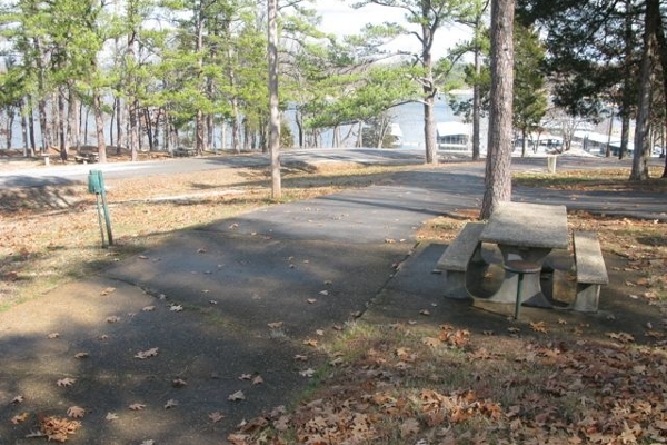 View from rear of Campsite #4