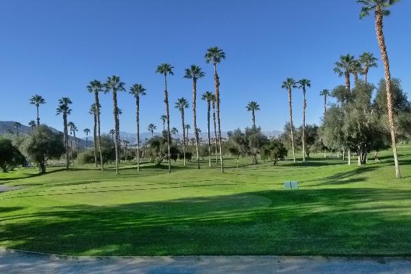 Psp Resort Rentals Sales Palm Springs Ca