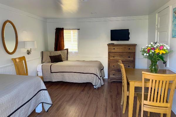 2 Twin beds in living room (sleeps 2) & new plasma TV.