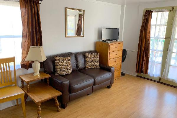 Living area with new plasma TV and heater.