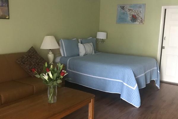 Queen bed & Queen sleeper sofa  (sleeps 2 - 4).