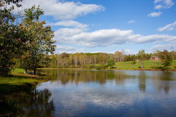 Lake Front Property