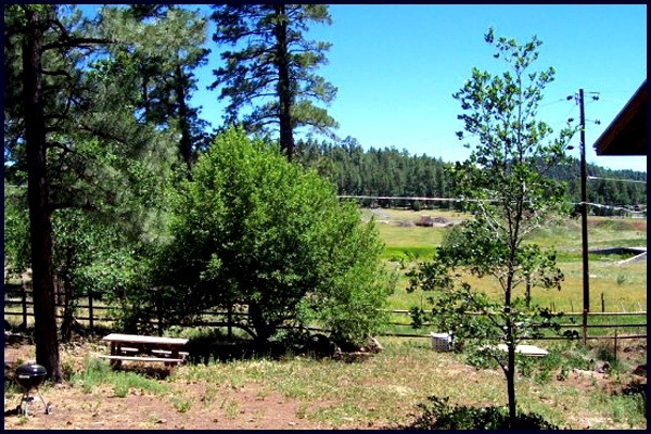 Picnic area overlooking meadow