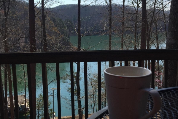 Norris Lake Front Rentals