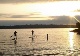 Individual SUP Rental - Marina Park