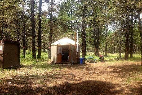 Honeysuckle yurt 2