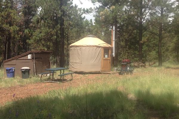 Lupine yurt