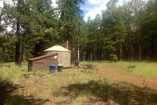 Lupine yurt 2