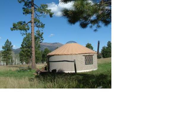 The Sunflower Yurt's gorgeous setting