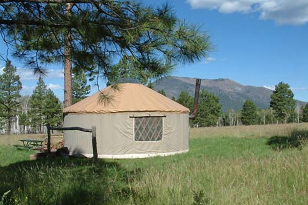 Sunflower yurt