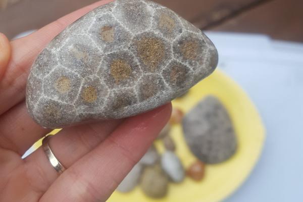 Local insight on Beaches and Rocks