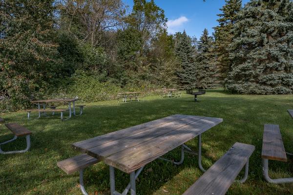 Open picnic area, no shelter - 50 people maximum